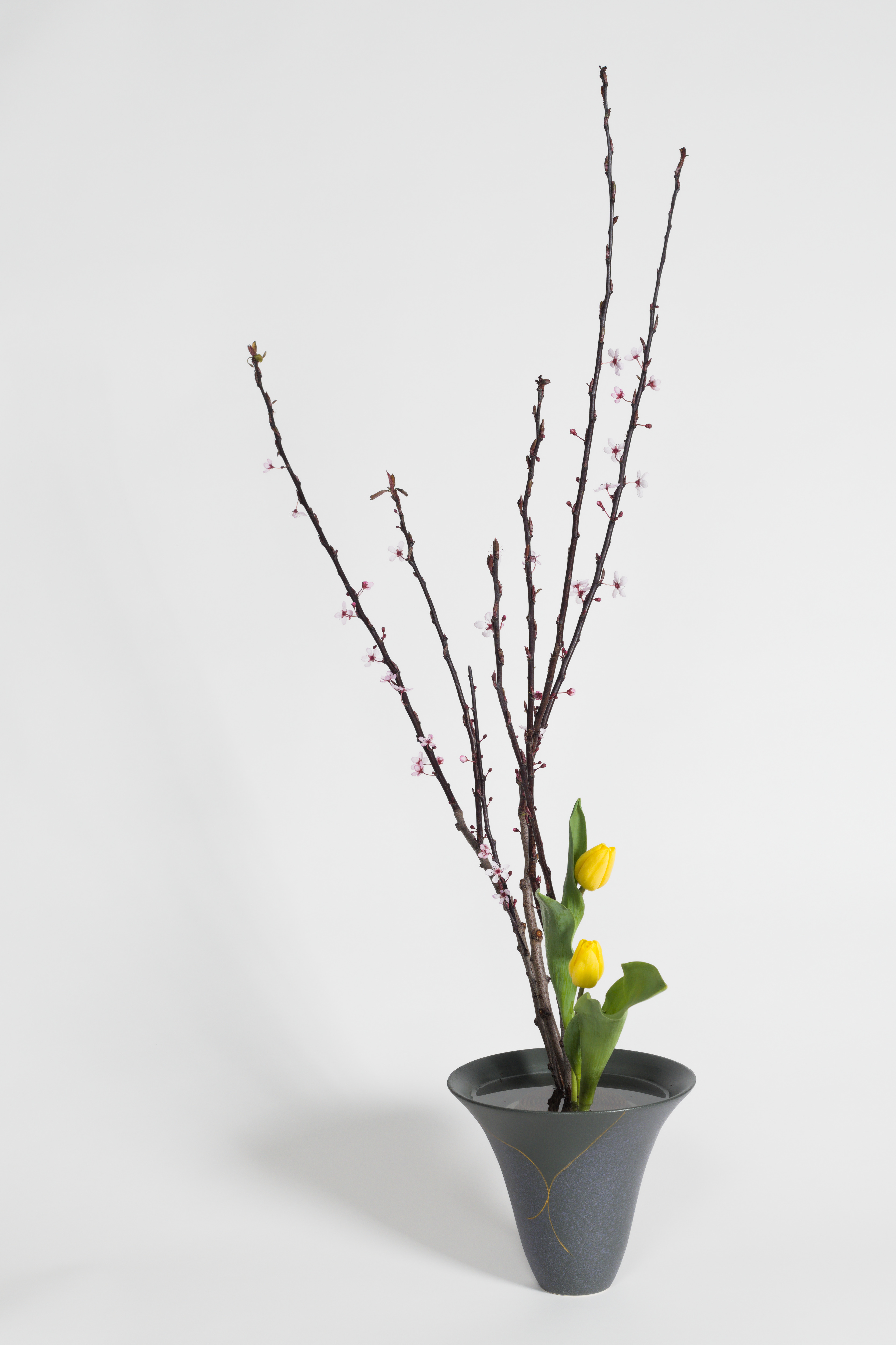 April 2026 Workshop - Shoka