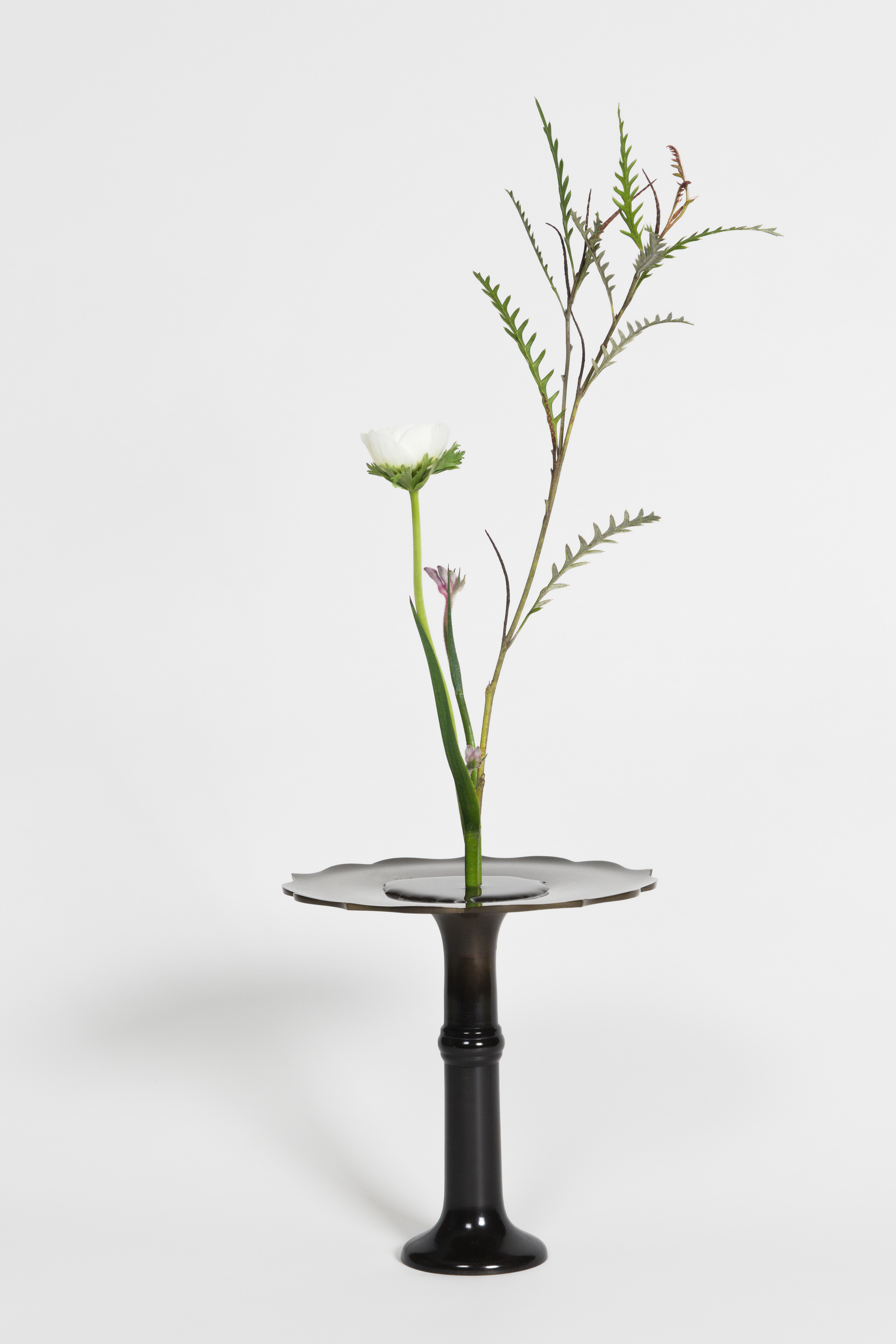 April 2026 Workshop - Shoka Shimputai