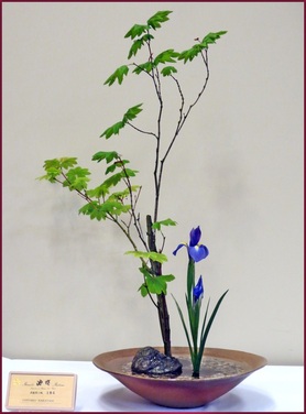 Ikenobo Ikebana